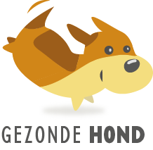 Gezonde Hond