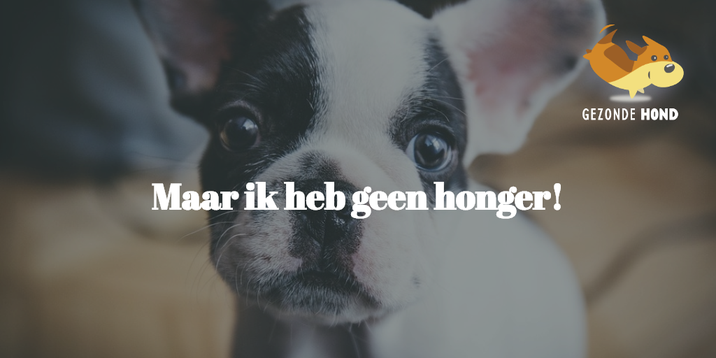 Mijn hond eet plots minder enthousiast